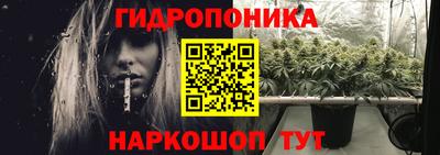 2c-b Камышлов