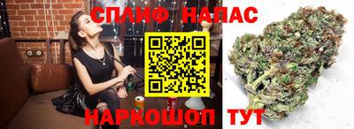 2c-b Камышлов