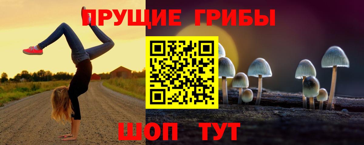 Крымск  Псилоцибиновые грибы Cubensis  Вход с VPN 